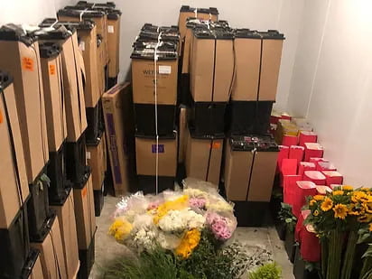 Grandes Ahorros en Instalación y Operación 