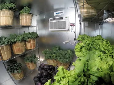 Cool Bot en la Agricultura 