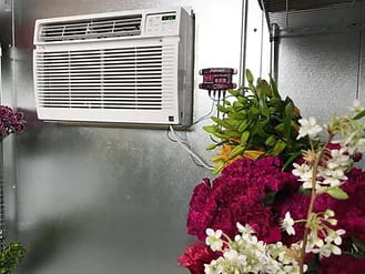 Ventanas de demostración: estas ventanas son una excelente manera de mostrar a sus clientes sus hermosas flores
