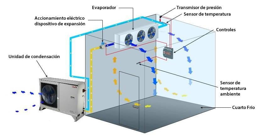  rangos comúnmente establecidos para un sistema de refrigeración, incluyendo unidad de condensación, accionamiento eléctrico, dispositivo de expansión, evaporador, transmisor de presión, sensor de temperatura, controles y sensor de temperatura ambiental. Todo integrado en un cuarto frío para mantener condiciones óptimas de almacenamiento