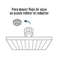 Regadera acero inoxidable, 8', con brazo, satinado, Riviera - R-308N / 45772