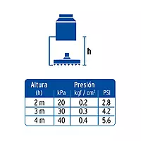 Regadera acero inoxidable, 10', con brazo, satinado, Riviera - R-310N / 45774 Regadera acero inoxidable, 10', con brazo, satinado, Riviera - R-310N / 45774